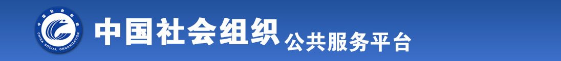 oumei插B全国社会组织信息查询